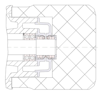 streisal Seal Guard tandem seal system