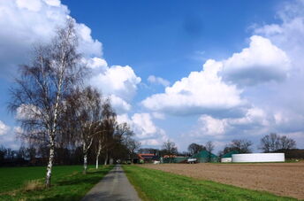 REPLACEMENT OF SUBMERSIBLE MOTOR AGITATORS WITH STREISAL VERTICAL OR INCLINED AGITATORS